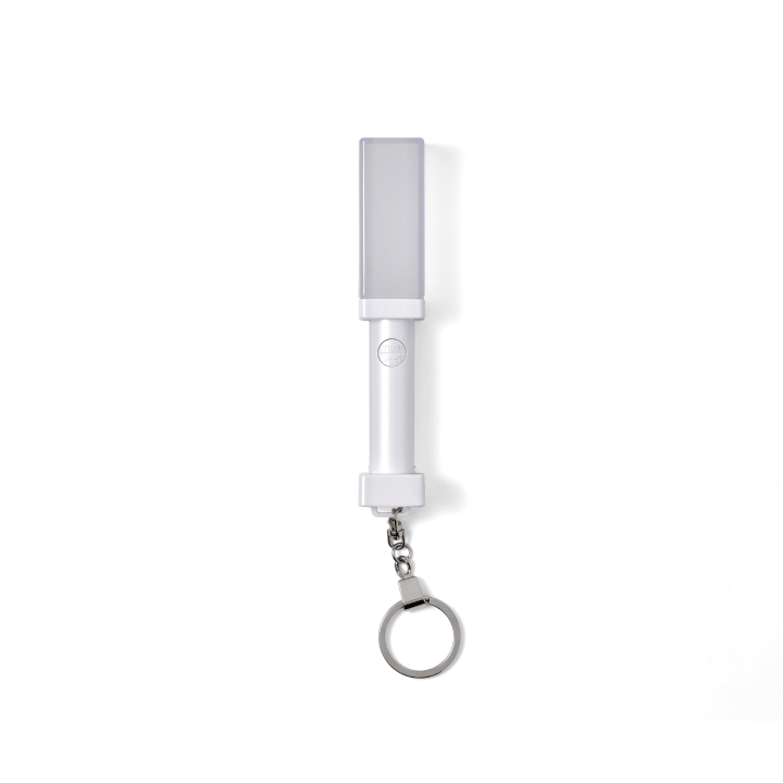 TWS - Official Light Stick Keyring
